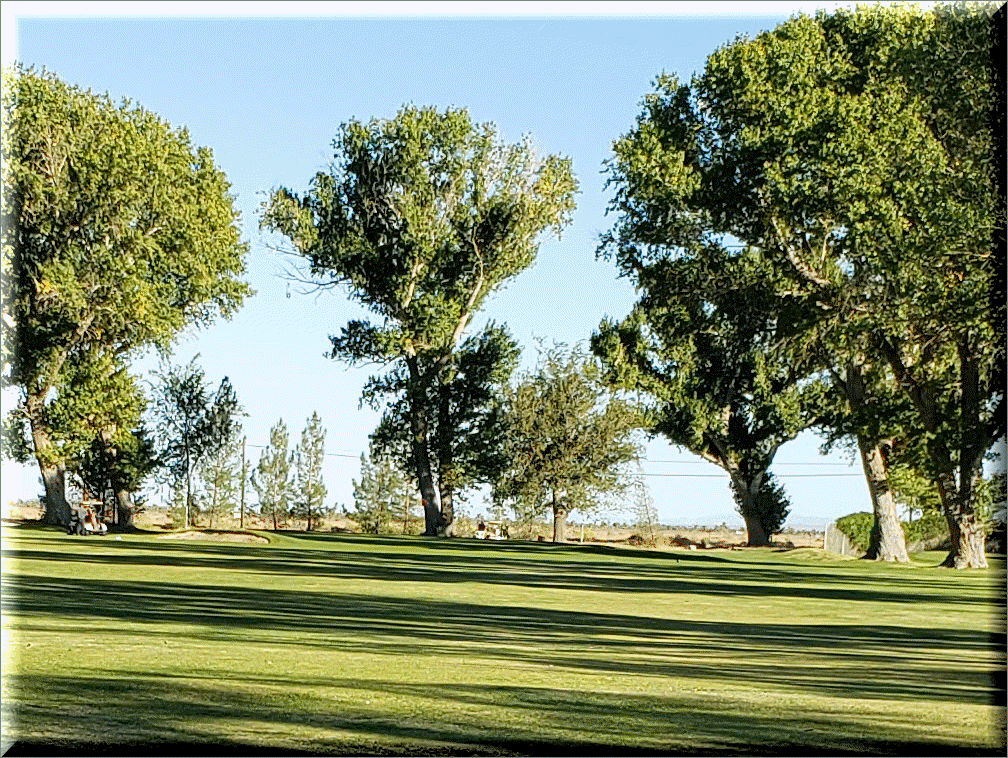 Hole 3 Fairway