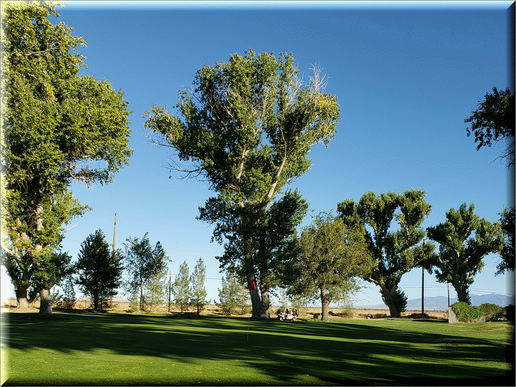 Hole 1 greens