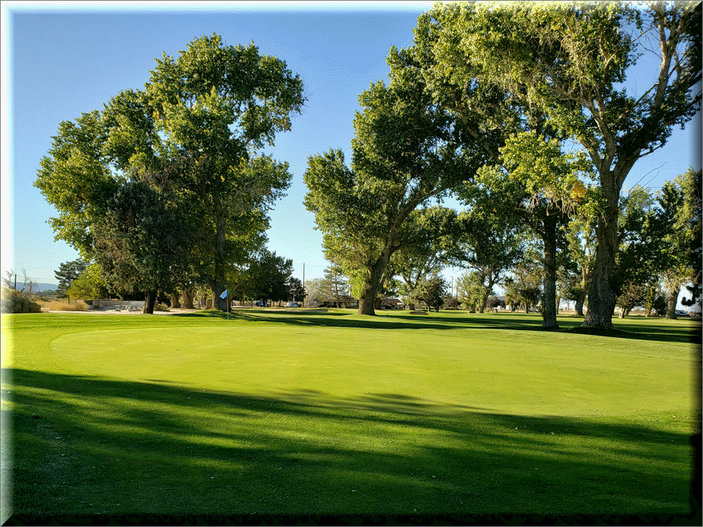 Hole  5 Greens 