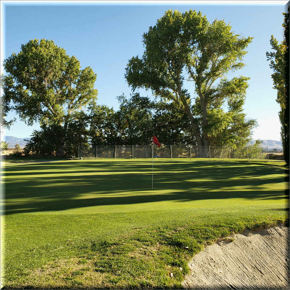 Hole 6 Greens