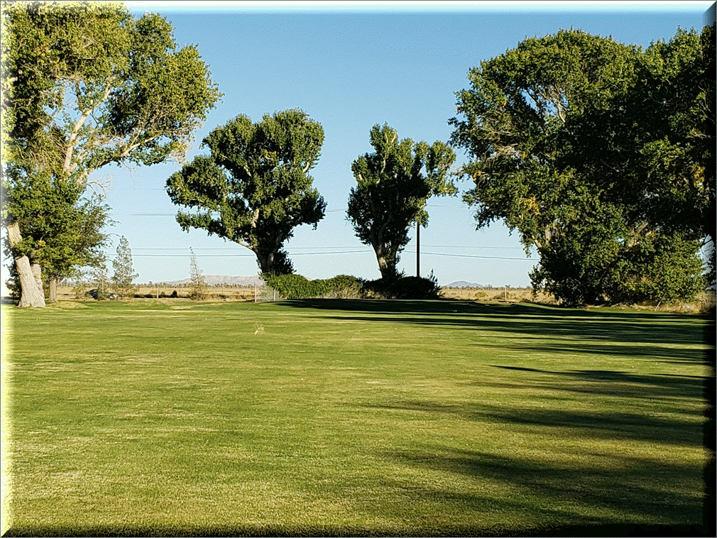 Hole 7 fairways