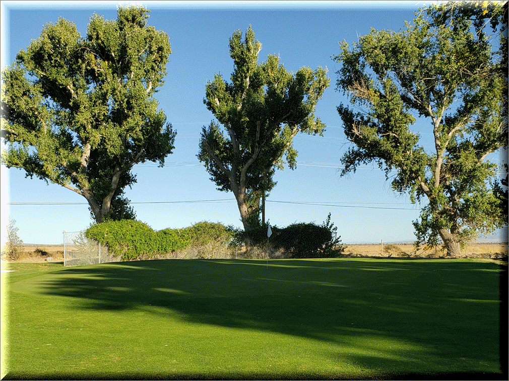 Hole 7 green