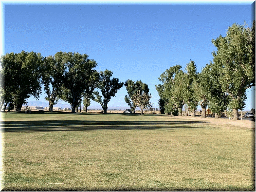 Hole 8 Fairway