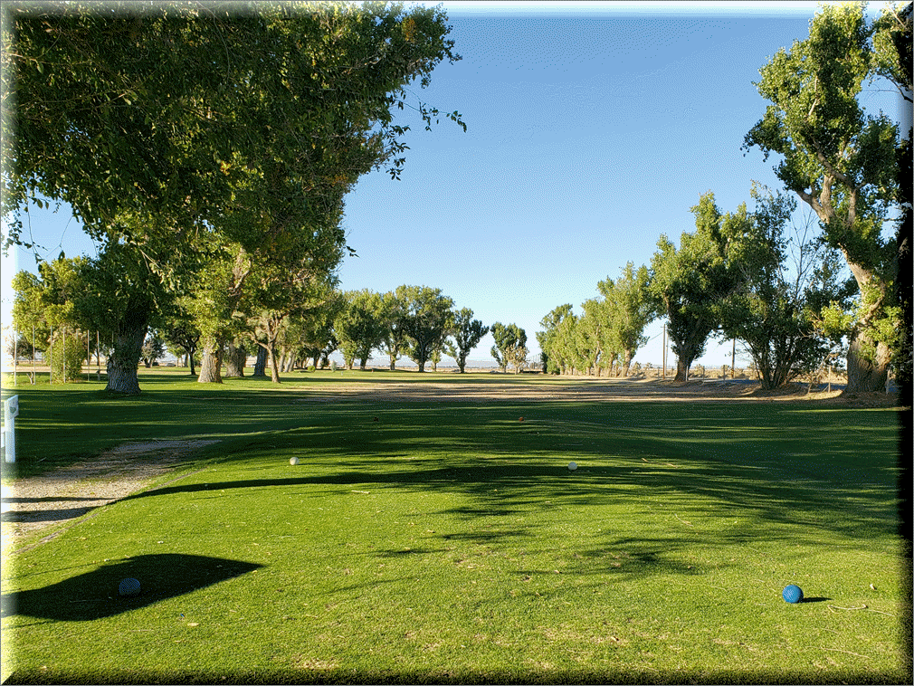 Hole 8 Tee shot 