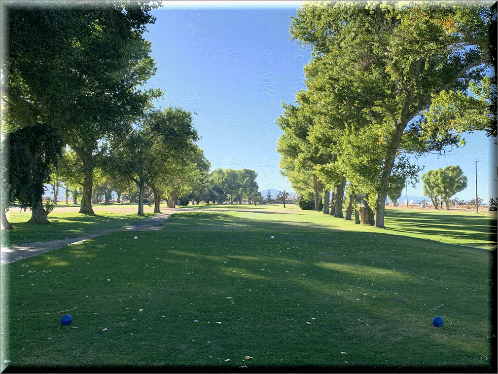 Hole 9 Tee shot 