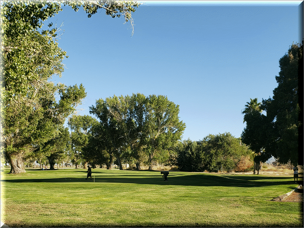 Course greens 